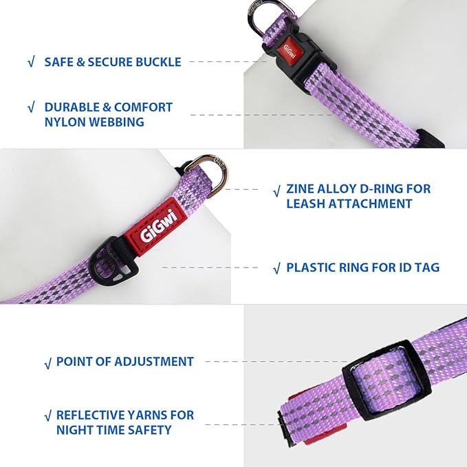 Gigwi Classic Line Collar With Reflective Stitching Sturdy Buckle with Metal D-Ring For Dogs Neck Size 20-30cm Purple (Small)