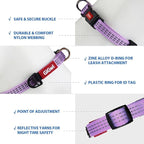 Gigwi Classic Line Collar With Reflective Stitching Sturdy Buckle with Metal D-Ring For Dogs Neck Size 20-30cm Purple (Small)