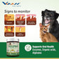 Vvaan Kelpro Oral Care Supplement for Dogs & Cats 70g