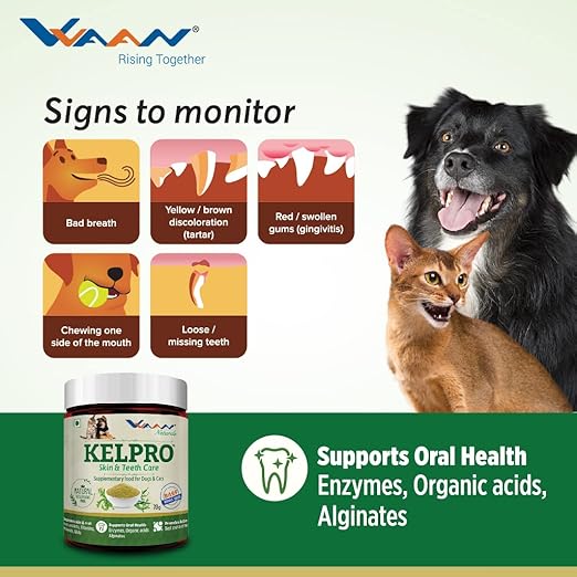 Vvaan Kelpro Oral Care Supplement for Dogs & Cats 70g