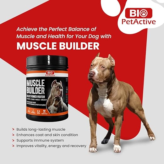 Bio Pet Active Muscle Builder Bulky Powder Protein For Dog Supplementary Food Helps in Muscle Building 120g