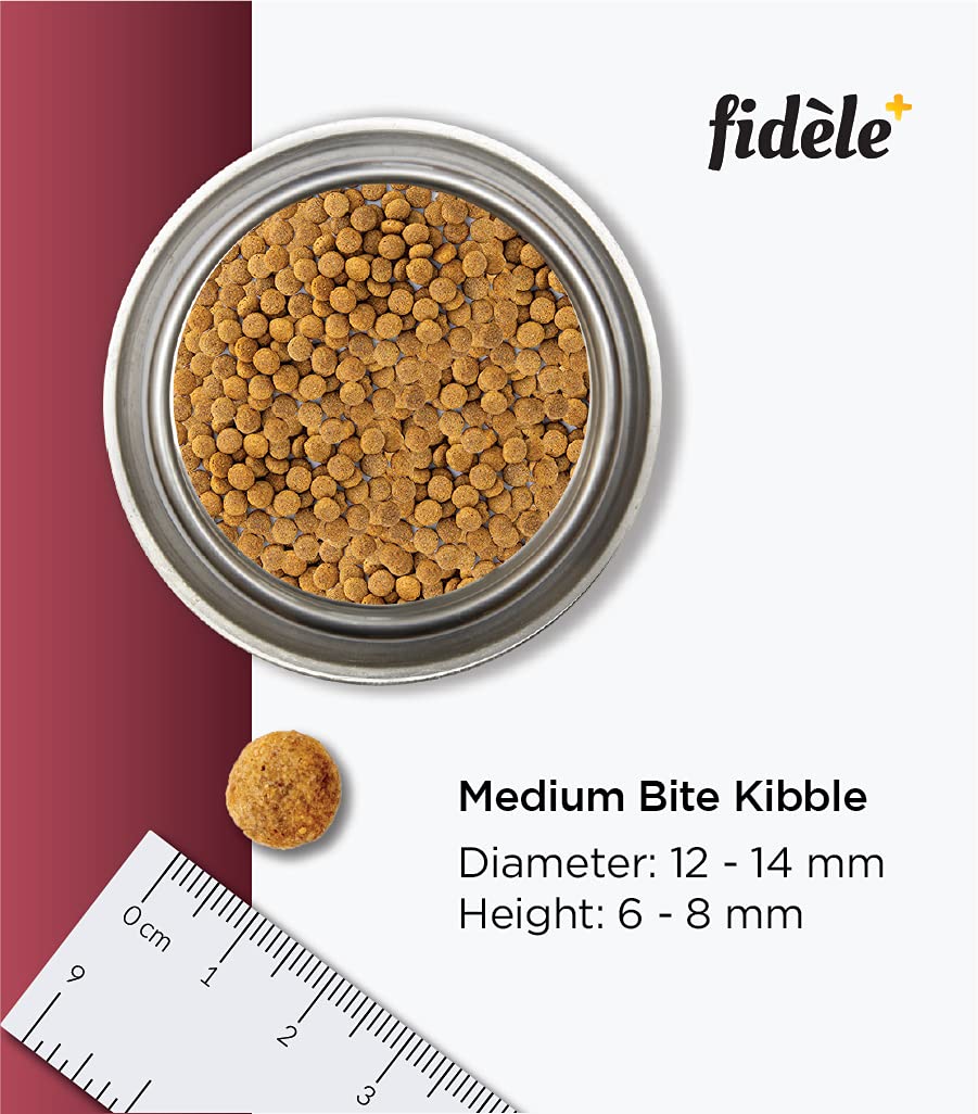 Fidele Adult Senior Dry Food For Dogs