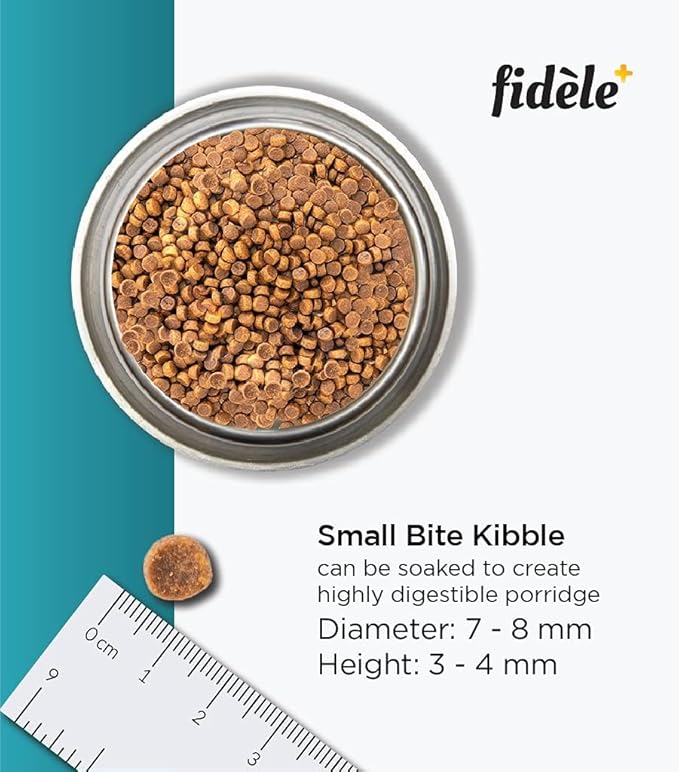 Fidele Starter Puppy All Breed Dry Food For Dogs