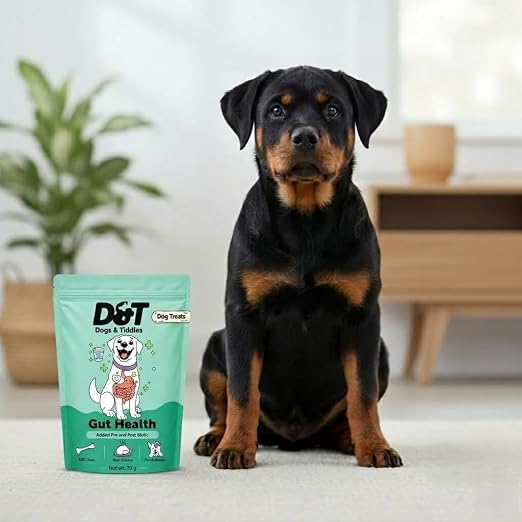 Dogs & Tiddles Gut Health Dog Treats for All Breeds Dog 70g