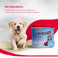 Beaphar Lactol New Born Milk Replacement Powder for Puppies 200g
