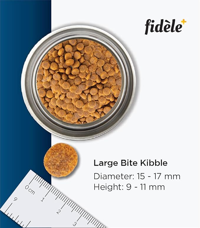 Fidele Adult Large Dry Food For Dog