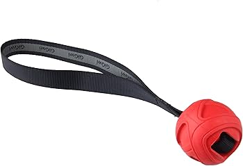 Gigwi Go! Fetch Slinger Ball Toy for Dogs Assorted Medium