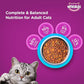 Whiskas Adult Dry Cat Food (+1 year) Ocean Fish Flavor 3kg