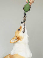Gigwi Duck Push To Mute with Plush Tail Dog Toy Green