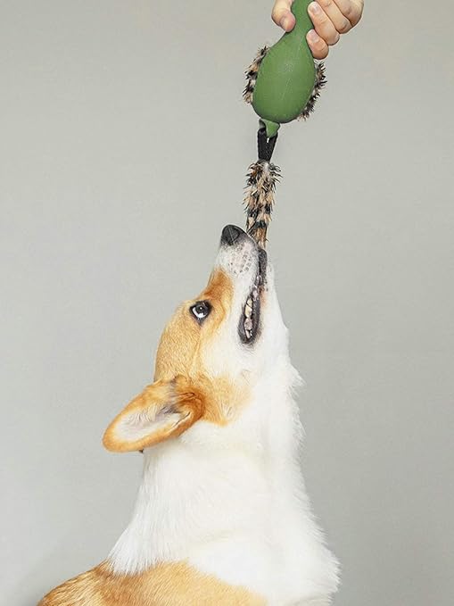 Gigwi Duck Push To Mute with Plush Tail Dog Toy Green