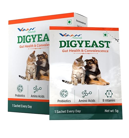 Vvaan Digyeast Gut Health & Convalescence, Anti Stress 100% Pure Natural Supplementary Food For Dogs & Cats Contain 10 Sachet 50g