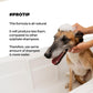 Moe Puppy Shampoo+Conditioner Cruelty Free and Plant Based Formula Shampoo For Dogs & Cats 300ml