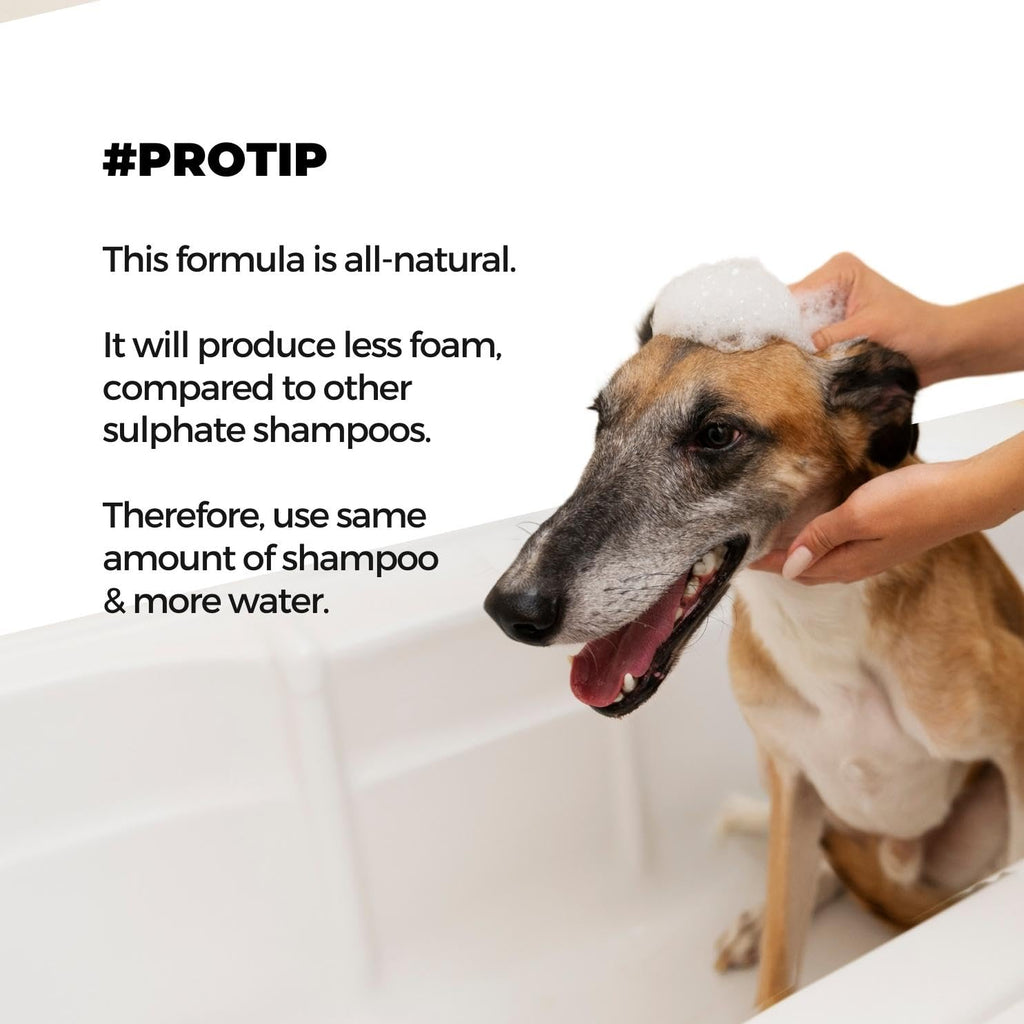 Moe Puppy Shampoo+Conditioner Cruelty Free and Plant Based Formula Shampoo For Dogs & Cats 300ml