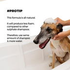Moe Puppy Shampoo+Conditioner Cruelty Free and Plant Based Formula Shampoo For Dogs & Cats 300ml