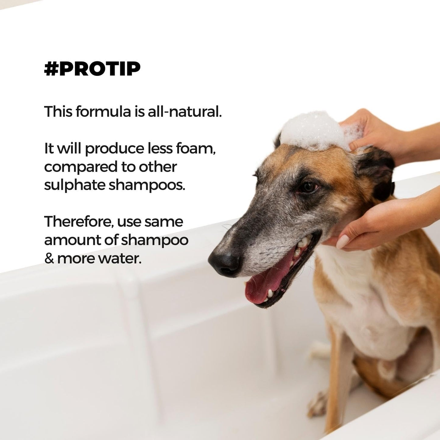 Moe Puppy Shampoo+Conditioner Cruelty Free and Plant Based Formula Shampoo For Dogs & Cats 300ml