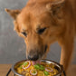 Petaholic Wholesome Woof Chicken & Rice 100% Natural and High Protein Dog Food 300g 2 Pouch 150g Each