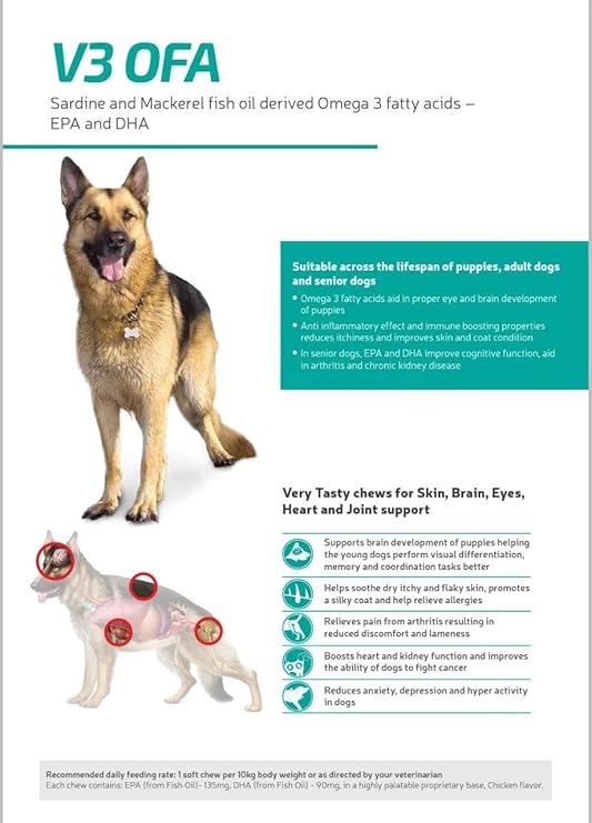 Vvaan V3 OFA Skin, Heart, Brain & Joint Support For Dogs 40 Soft Chews