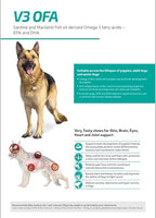 Vvaan V3 OFA Skin, Heart, Brain & Joint Support For Dogs 40 Soft Chews