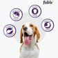 Fidele Adult Small & Medium Dry Dog Food
