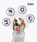 Fidele Adult Small & Medium Dry Dog Food
