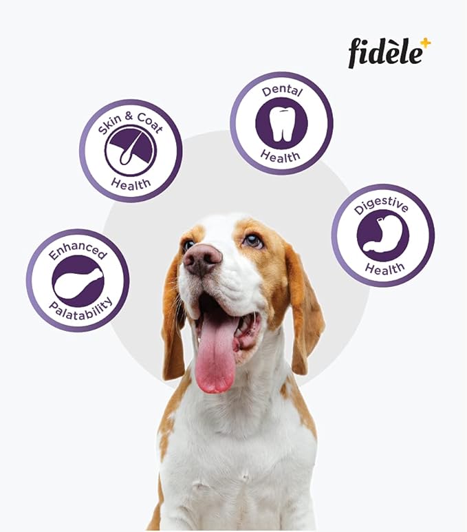 Fidele Adult Small & Medium Dry Dog Food