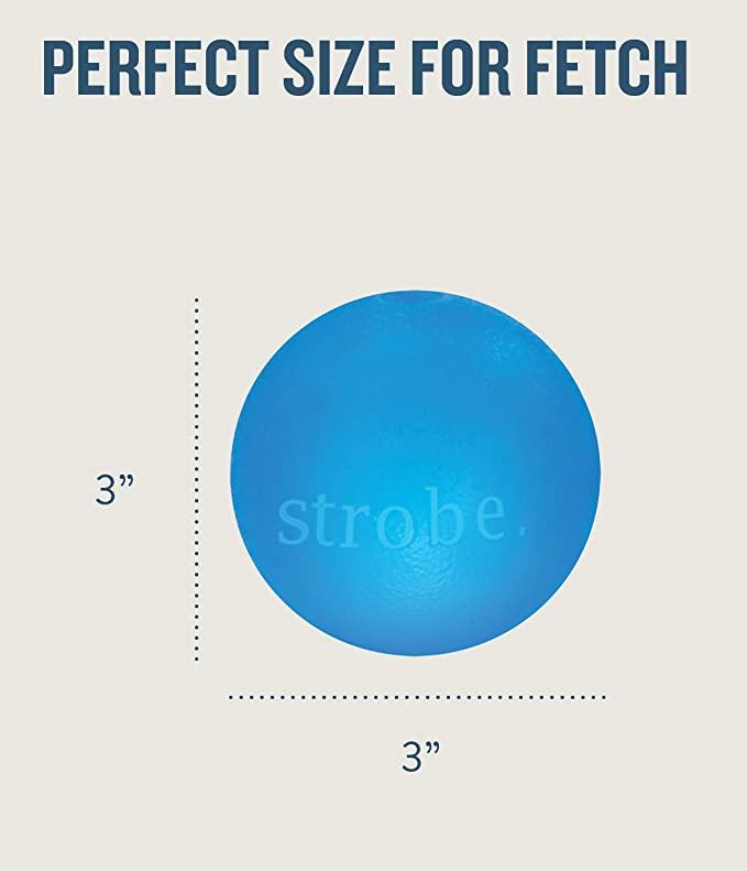 Petstages Orbee Tuff Strobe Ball Dog Toy Blue 3inch