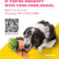 FOFOS Sunflower Crinkle Rope Dog Toy 39cm x 17cm x 4cm