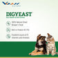 Vvaan Digyeast Gut Health & Anti Stress 100% Pure Natural Supplementary Food for Dogs & Cats 70g
