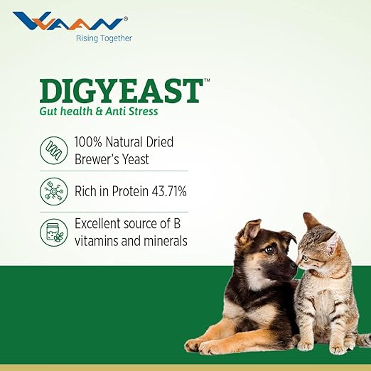 Vvaan Digyeast Gut Health & Anti Stress 100% Pure Natural Supplementary Food for Dogs & Cats 70g