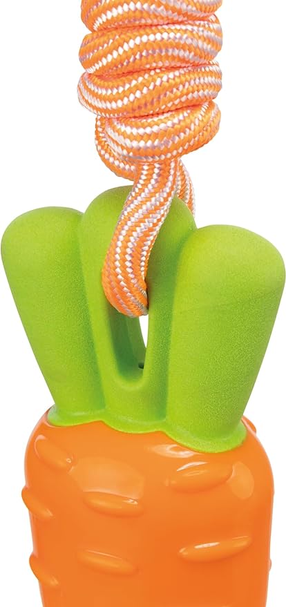 Trixie Carrot on The Rope Rubber Squeaker Toy for Dog