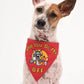 Mutt of Course Tom & Jerry Will You Be My BFF Bandana For Dogs