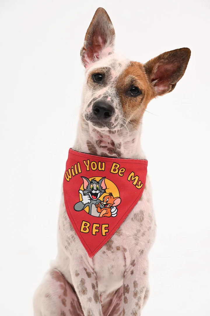 Mutt of Course Tom & Jerry Will You Be My BFF Bandana For Dogs