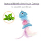 Gigwi Catch & Scratch Catnip Fish Cat Toy 15.24 x 6.99 x 2.54cm