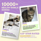 Smylo Kitten Chicken & Liver, Pomegranate, Fresh & No-Preservative Wet Cat Food 70g