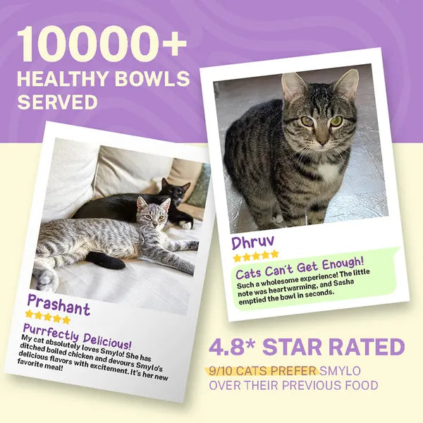 Smylo Kitten Chicken & Liver, Pomegranate, Fresh & No-Preservative Wet Cat Food 70g