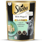 Sheba Soft Pate Kitten Maguro Wet Cat Food 70g