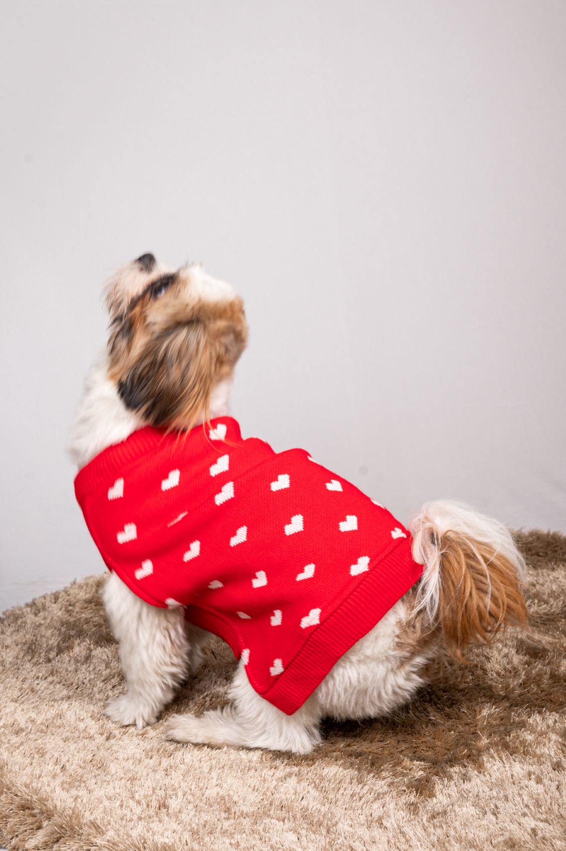 Pet Snugs Red Heart Sweater For Your Furry Friend