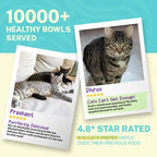 Smylo Kitten Tuna Salmon, Pumpkin, Fresh & No-Preservative Wet Cat Food 70g