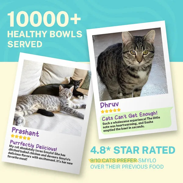 Smylo Kitten Tuna Salmon, Pumpkin, Fresh & No-Preservative Wet Cat Food 70g