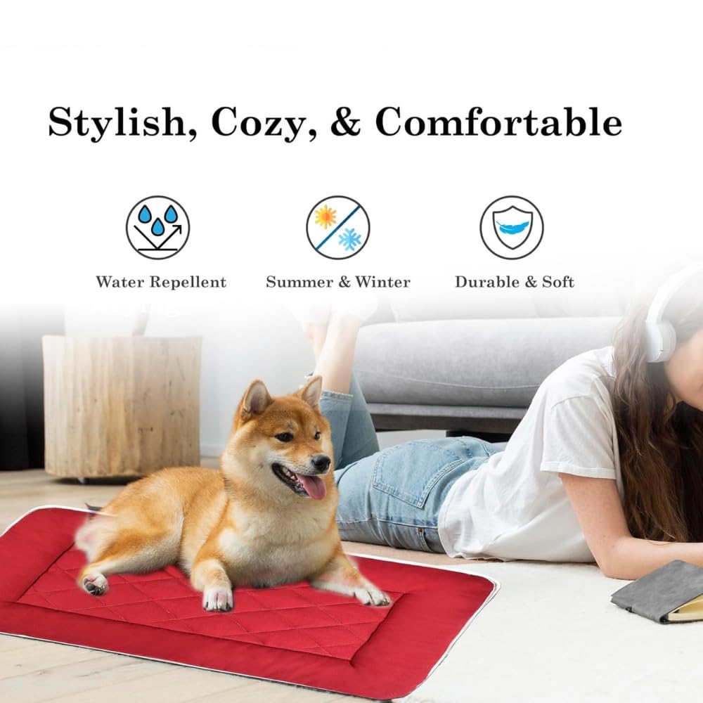 Pawfect Reversible Cushion For Your Furry Friend