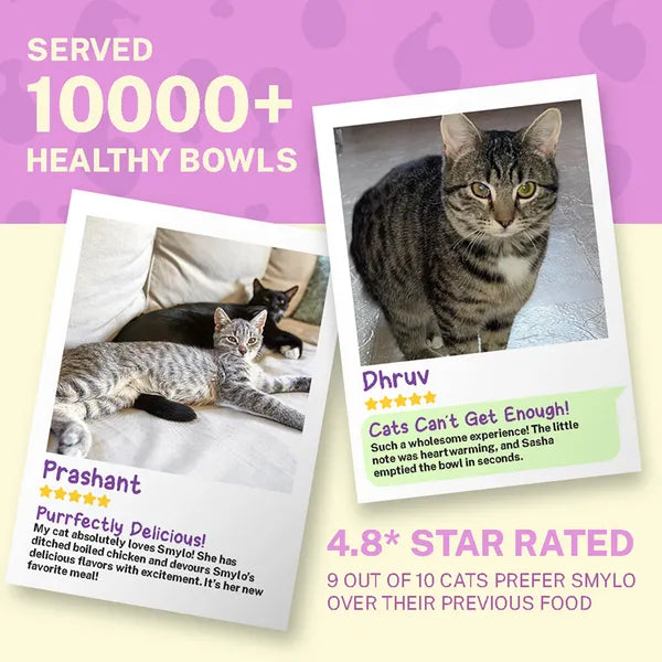 Smylo Adult Chicken & Liver, Pomegranate, Fresh & No-Preservative Wet Cat Food 70g