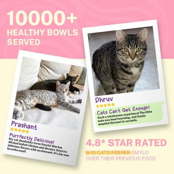 Smylo Adult Mackerel Kanikama & Cranberry, Fresh & No-Preservative Wet Cat Food 70g