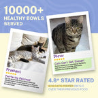 Smylo Adult Chicken Tuna & Rosemary, Fresh & No-Preservative Wet Cat Food 70g