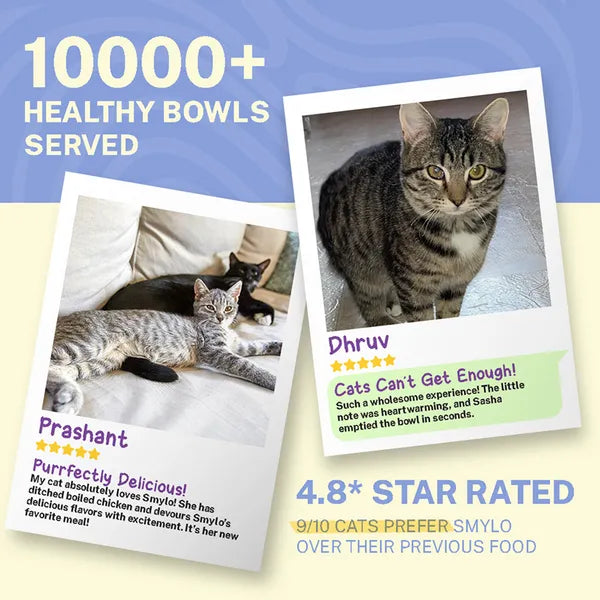 Smylo Adult Chicken Tuna & Rosemary, Fresh & No-Preservative Wet Cat Food 70g