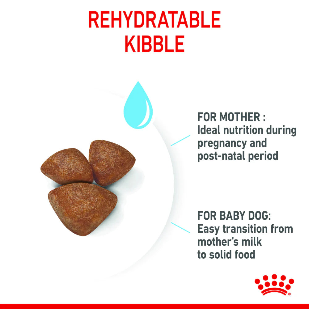 Royal Canin Stage 2 Starter Mini Mother & Baby 1-2 Months Dry Dog Food