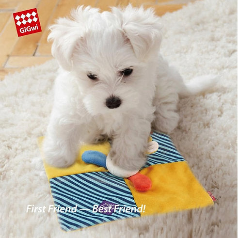 Gigwi Suppa Puppa Squeaker Mat Lion Dog Toy Small 21 x 21 4cm