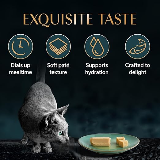 Sheba Soft Pate Kitten Maguro Wet Cat Food 70g