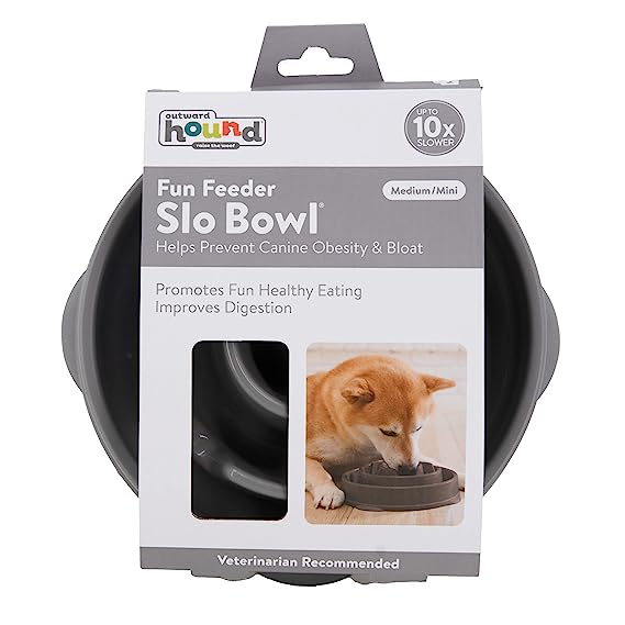 Outward Hound Fun Feeder Slow Feeder Dog Bowl Grey