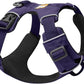 Ruffwear Front Range Dog Padded Harness - Purple Sage