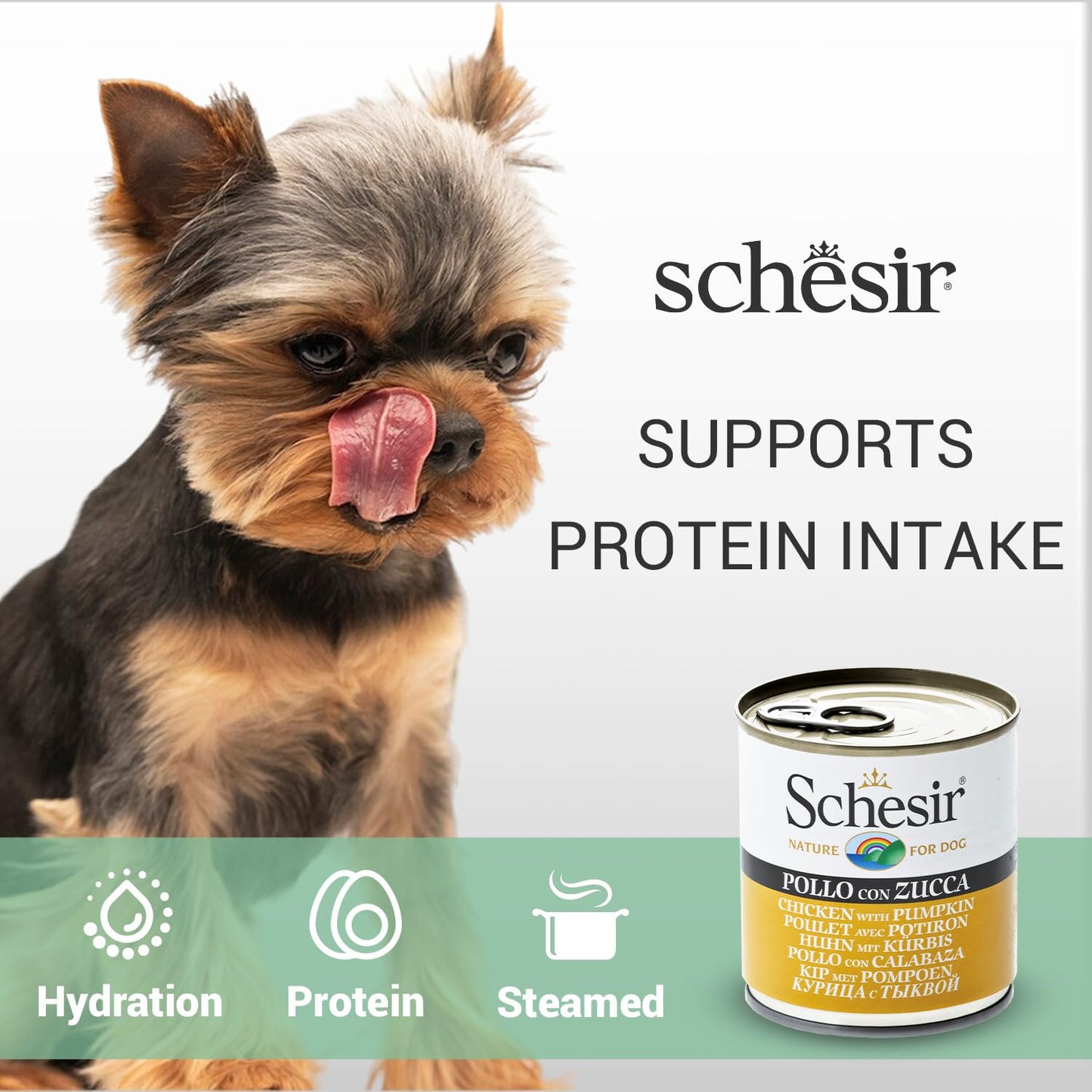 Schesir Nature For Dog Chicken with Pumpkin in Jelly Wet Dog Food 285g
